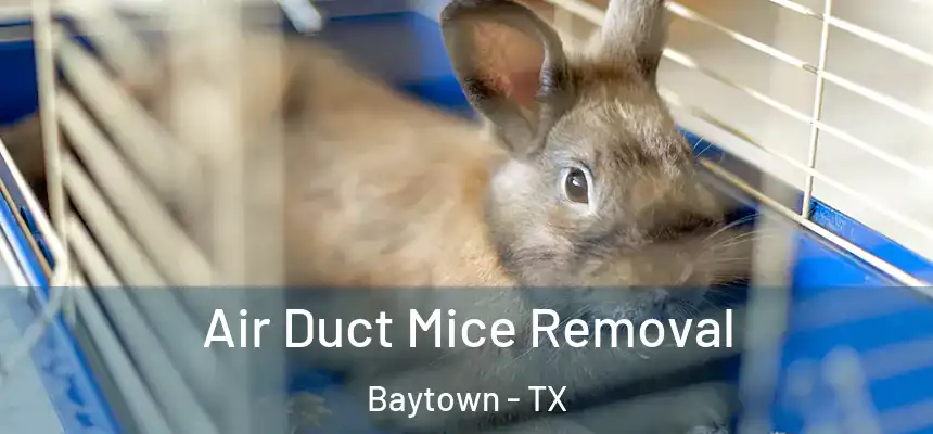 Air Duct Mice Removal Baytown - TX