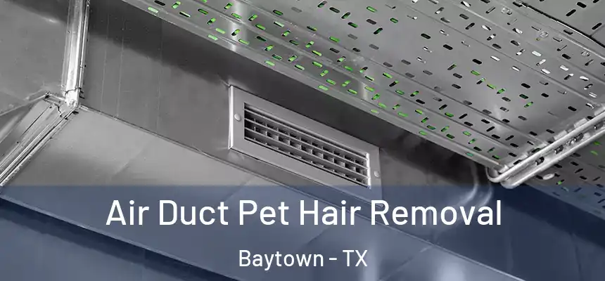 Air Duct Pet Hair Removal Baytown - TX