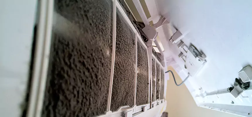 Preventive Air Duct Bacteria Removal in Baytown