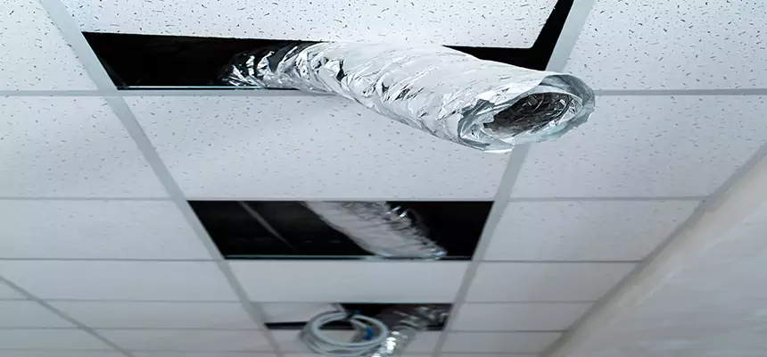 Affordable HVAC Sanitizing After Pest Removal in Baytown