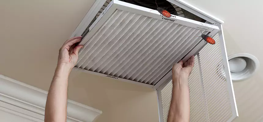 Our Insect Removal from Air Ducts Services in Baytown, TX