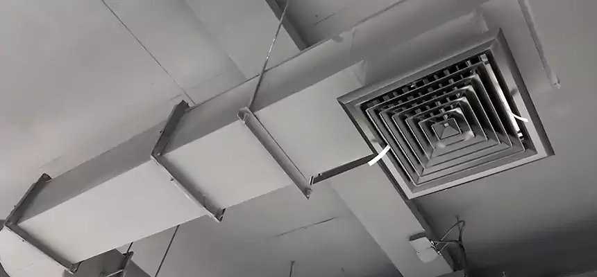 Our Pest Removal From Ducts Services in Baytown, TX