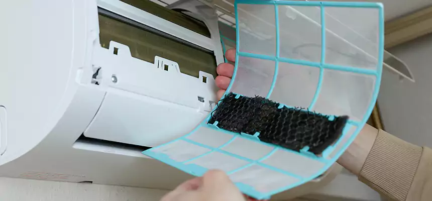 Gentle Ductwork Odor-Control Pet Dander Duct Cleaning in Baytown, TX