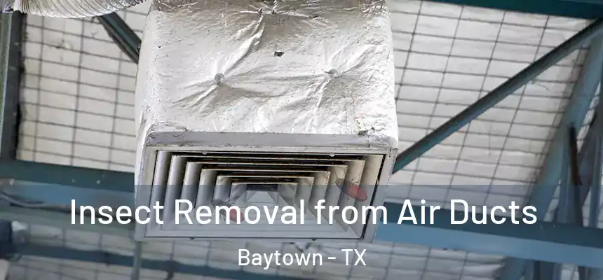 Insect Removal from Air Ducts Baytown - TX