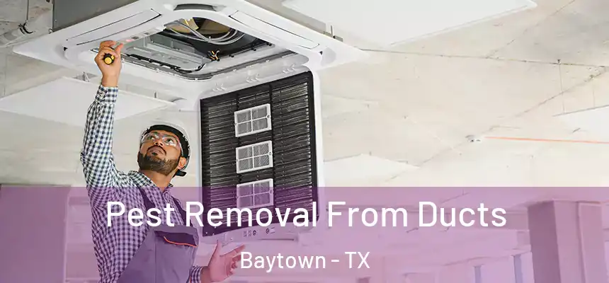 Pest Removal From Ducts Baytown - TX