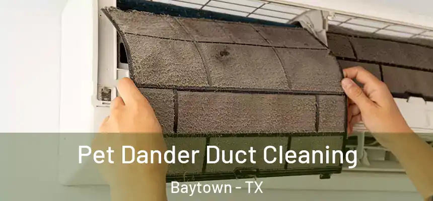Pet Dander Duct Cleaning Baytown - TX