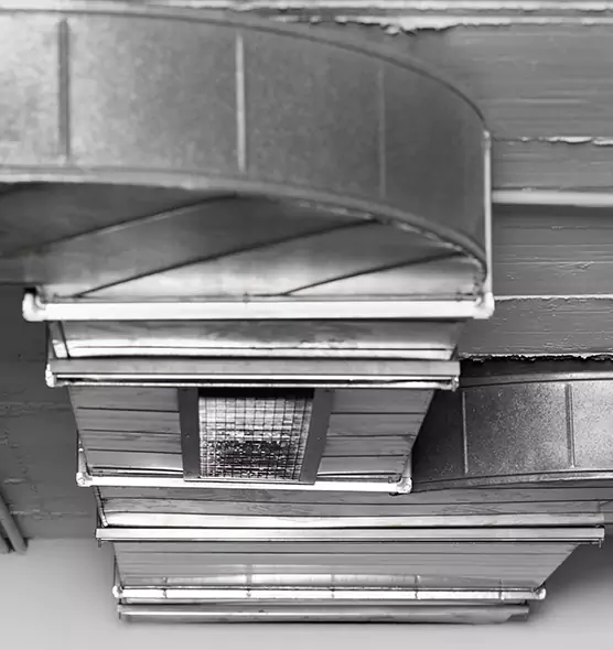 Professional Air Duct Pet Hair Removal in Baytown, TX