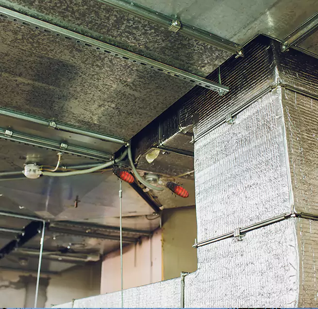 Why Homeowners & Businesses Trust Us in Baytown, TX?