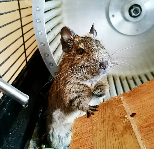 Why Homeowners & Businesses Trust Us Baytown, TX