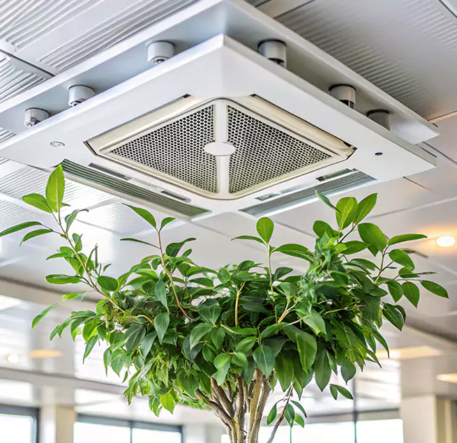 Why Homeowners & Businesses Trust Us in Baytown, TX