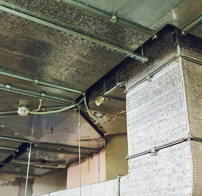 Why Homeowners & Businesses Trust Us in Baytown, TX?